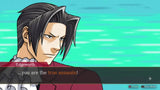 Ace Attorney Investigations Collection Switch New