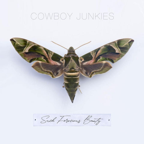Cowboy Junkies - Such Ferocious Beauty Vinyl New