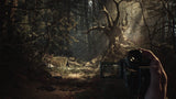 Blair Witch PS4 New