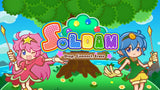 Soldam Switch Used