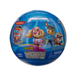 Paw Patrol Mashems Blind Ball New