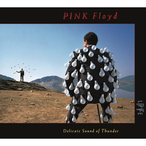 Pink Floyd - Delicate Sound Of Thunder (2 CD) CD New