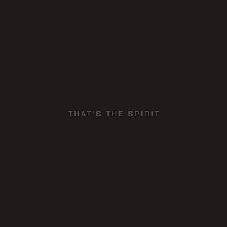 Bring Me The Horizon - That's The Spirit CD New