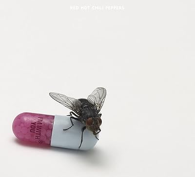 Red Hot Chili Peppers - I'm With You CD New
