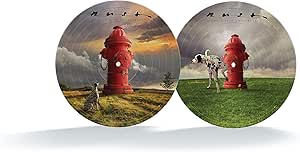 Rush - Signals (40Th Anniversary Picture Disc) Vinyl New