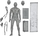 The Mummy Ultimate Neca Figure New