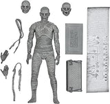 The Mummy Ultimate Neca Figure New