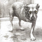 Alice In Chains - Alice In Chains CD New