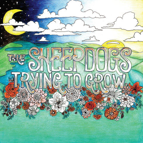 Sheepdogs, The - Trying To Grow CD Used