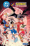 DC X Sonic The Hedgehog Trade Paper Back New