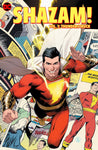 Shazam! Vol 01 Meet the Captain Trade Paper Back New