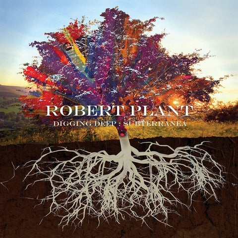 Robert Plant - Subterranea (2Cd) CD New