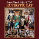 Fantastic Cat - Now That's What I Call Fantastic Cat Vinyl New