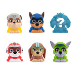 Paw Patrol Mashems Blind Ball New