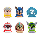 Paw Patrol Mashems Blind Ball New