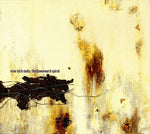 Nine Inch Nails - The Downward Spiral CD Used