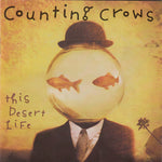 Counting Crows - This Desert Life CD Used