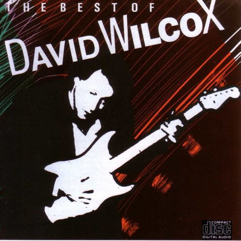David Wilcox - The Best Of David Wilcox CD Used