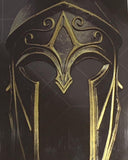 Assassins Creed Odyssey Steelbook PS4 Used