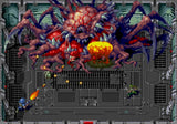 Bitmap Bureau Collection Switch Used