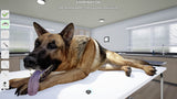 My Life Pet Vet PS5 Used
