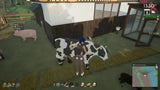Sunnyside PS5 Used