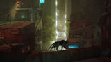 Stray Xbox Series X Xbox One New