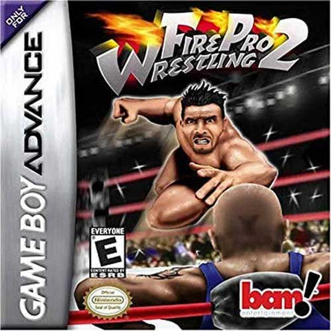 Fire Pro Wrestling 2 Gameboy Advance Used Cartridge Only