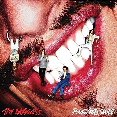 Darkness - Pinewood Smile Vinyl New