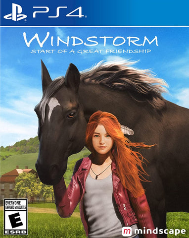 Windstorm Start Of A Great Freindship PS4 Used