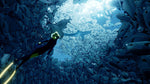 Abzu PS4 Used