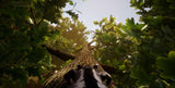 Away The Survival Series PS4 New