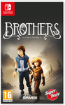 Brothers A Tale of Two Sons Switch New