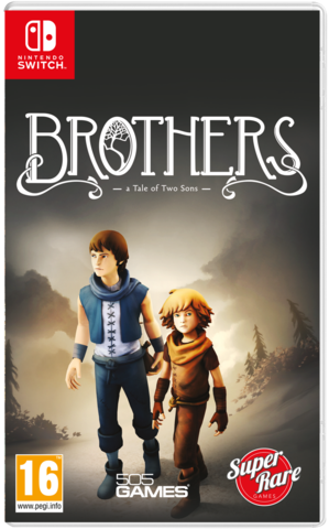 Brothers A Tale of Two Sons Switch New