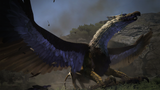 Dragons Dogma Dark Arisen PS4 Used