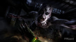 Dying Light 2 PS4 New