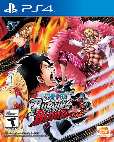 One Piece Burning Blood PS4 Used