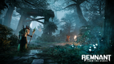 Remnant From The Ashes Switch Used
