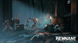 Remnant From The Ashes Switch Used