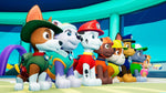 Paw Patrol On A Roll Switch New