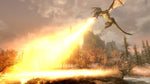Skyrim Switch Used