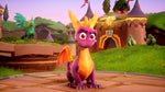 Spyro Reignited Trilogy Switch Used