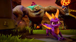 Spyro Reignited Trilogy Switch Used