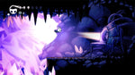 Hollow Knight Switch New