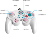 Switch Controller Wired PDP Fight Pad Gamecube Style Jiggly Puff New