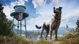 Far Cry 5 PS4 New