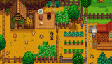 Stardew Valley Switch Used