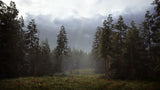 Hunting Simulator 2 Xbox One New