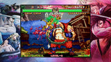 Samurai Shodown NEOGEO Collection Classic Edition Switch Used