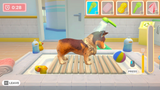 My Universe Pet Clinic Cats And Dogs Switch Used